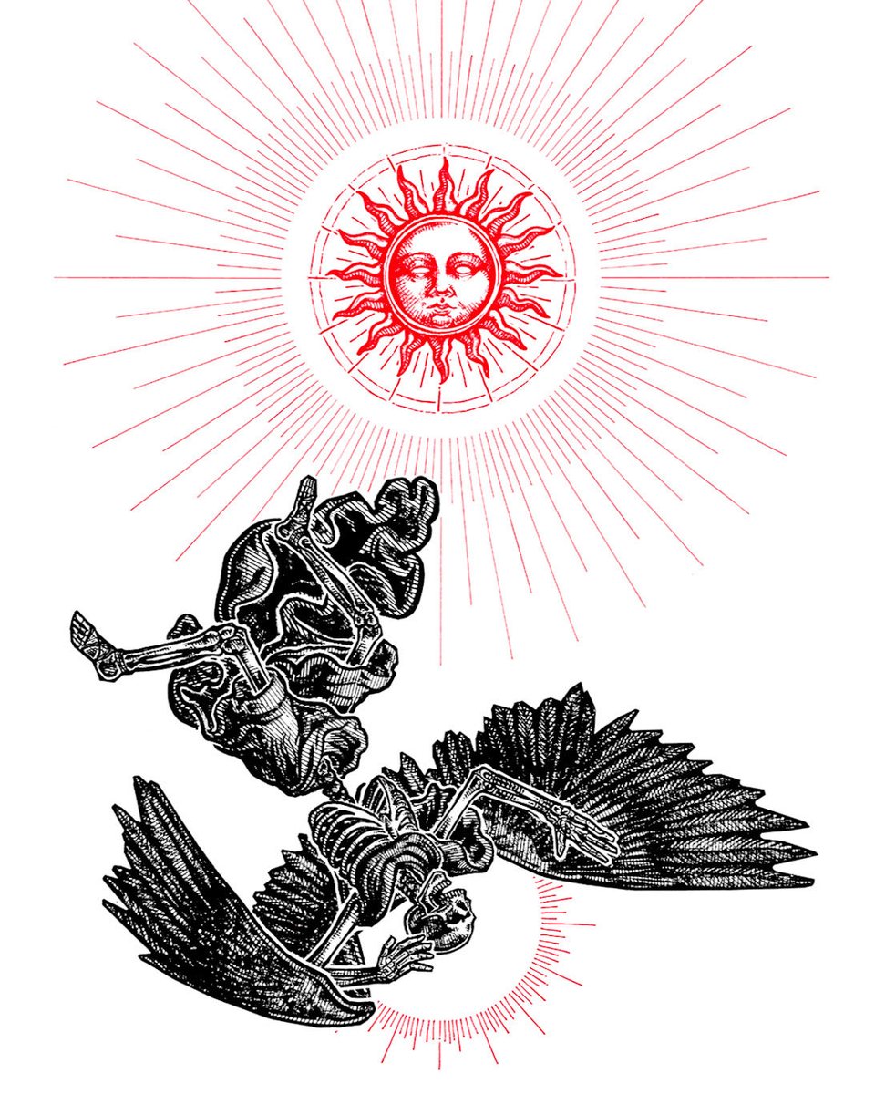 Icarus. Signed prints now available while supplies last. Find out more in my web shop!