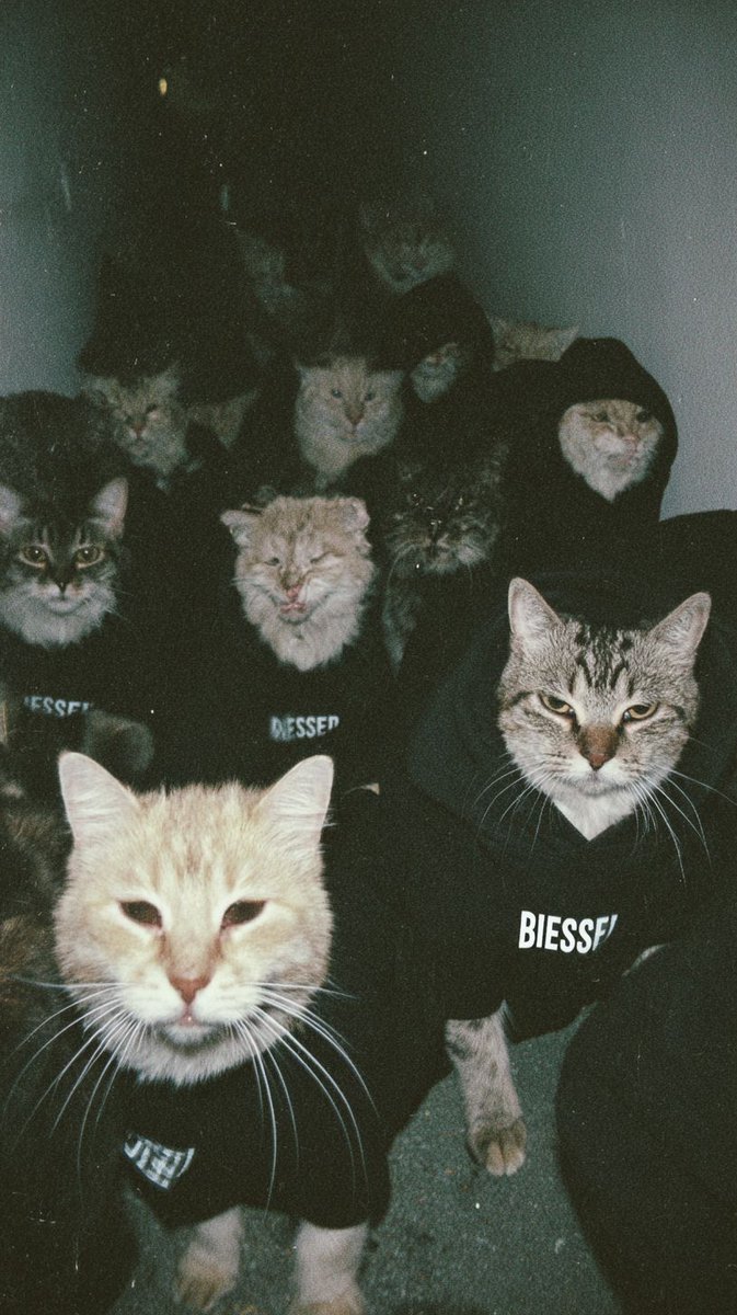 𝖆𝖗𝖙𝖟~𝖓𝖔𝖜 (@artznow_) on Twitter photo 