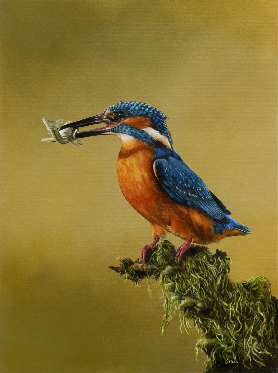 New painting. “The catch”. Acrylic on canvas panel. #wildlifepainting #artforsale #kingfisher #artwork #birdpainting #realismpainting