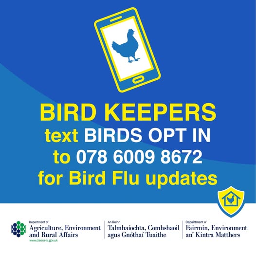 daera_ni's tweet image. Get the latest update on #AvianFlu in Northern Ireland &amp;amp; more on how to protect your flock at daera-ni.gov.uk/articles/avian…

@_BTO @BTO_NIreland @DiscoverCAFRE @infoVetNI @NiVetSpecialist