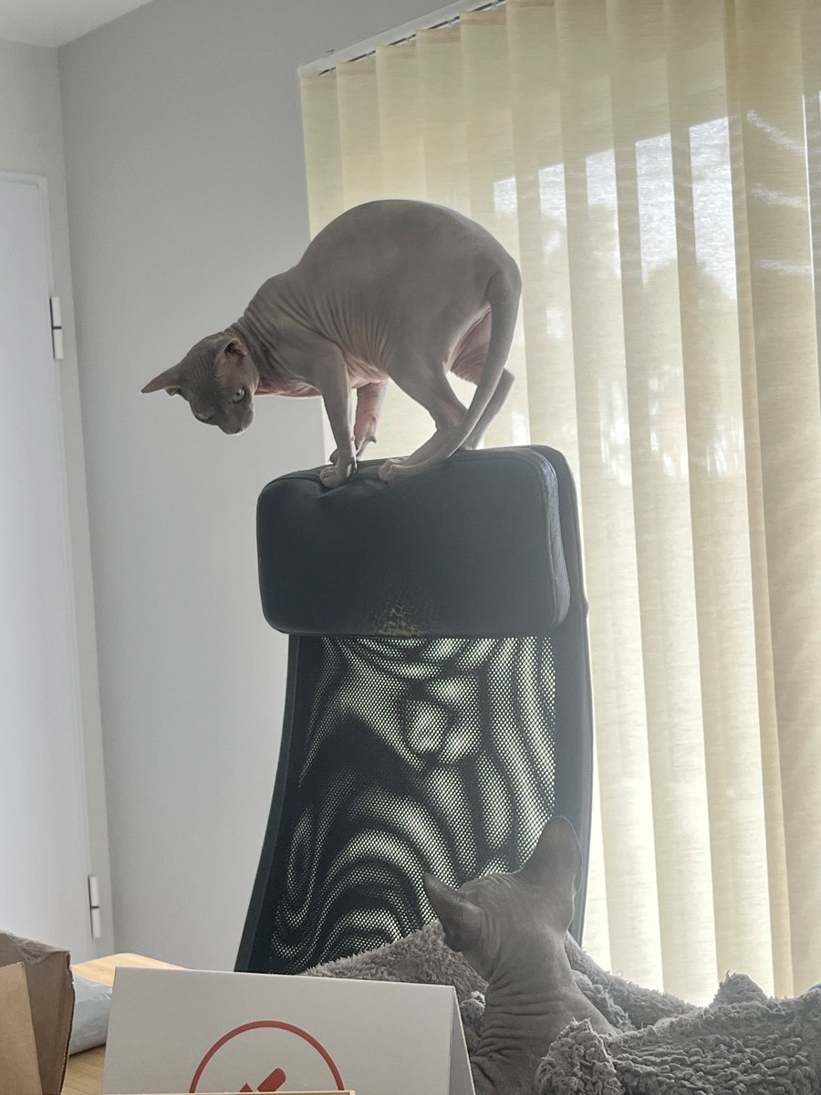 Quica is testing in production, again 🤦‍♂️