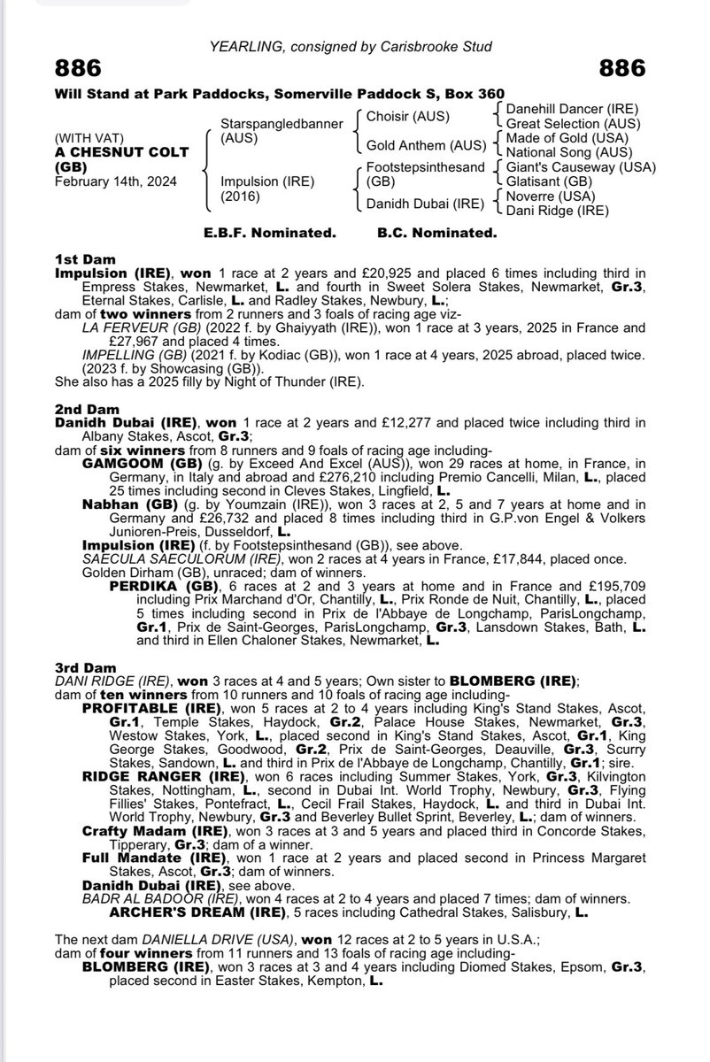 Lot 886 <a href="/Tattersalls1766/">Tattersalls</a> Book 2 is a colt by <a href="/coolmorestud/">Coolmore</a> Starspangledbanner ex Impulsion (Rated 90) the dam of two winners from 2 runners and from the family of Gamgoom, Perdika &amp; Profitable