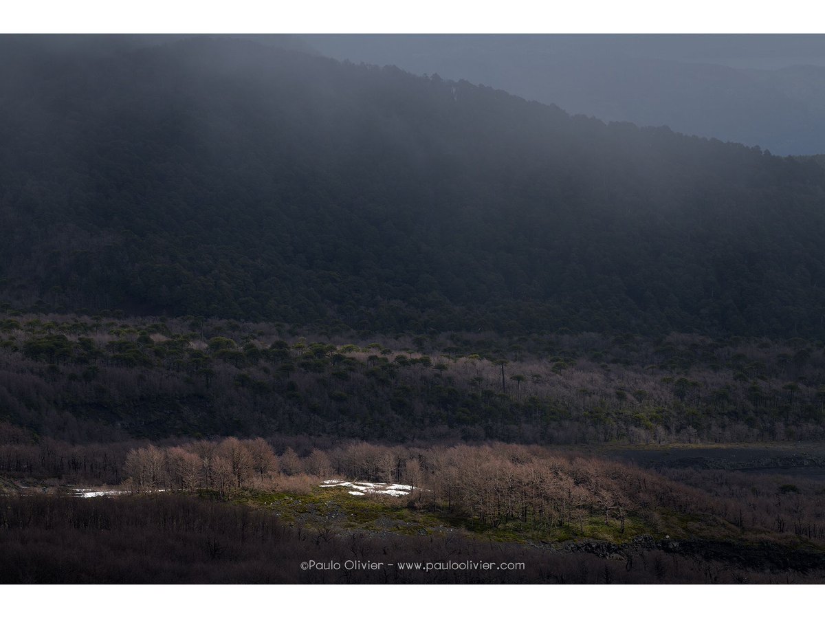 Imágenes de un hermoso respiro en la Araucanía disfrutando de buena compañía, conversa y grandes paisajes.

Y como casi siempre pasa, cuando parecía que no habría luz, el paisaje se abrió.