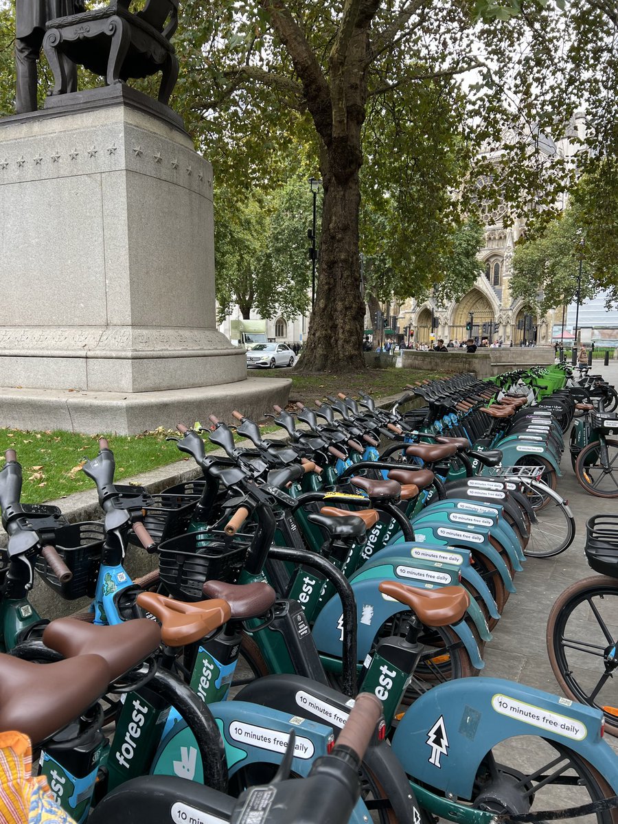 Ayala Ples tweet media