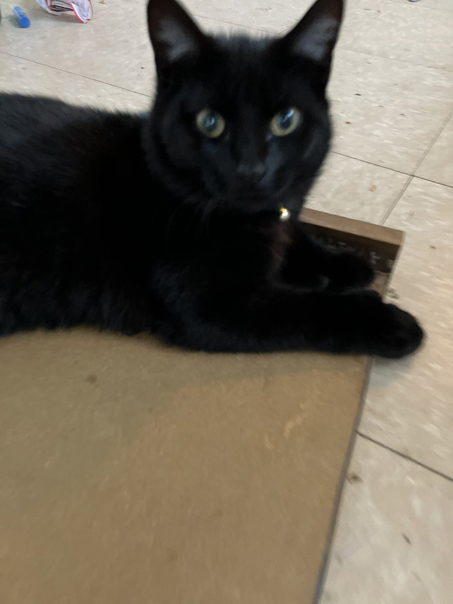 Do you mind?