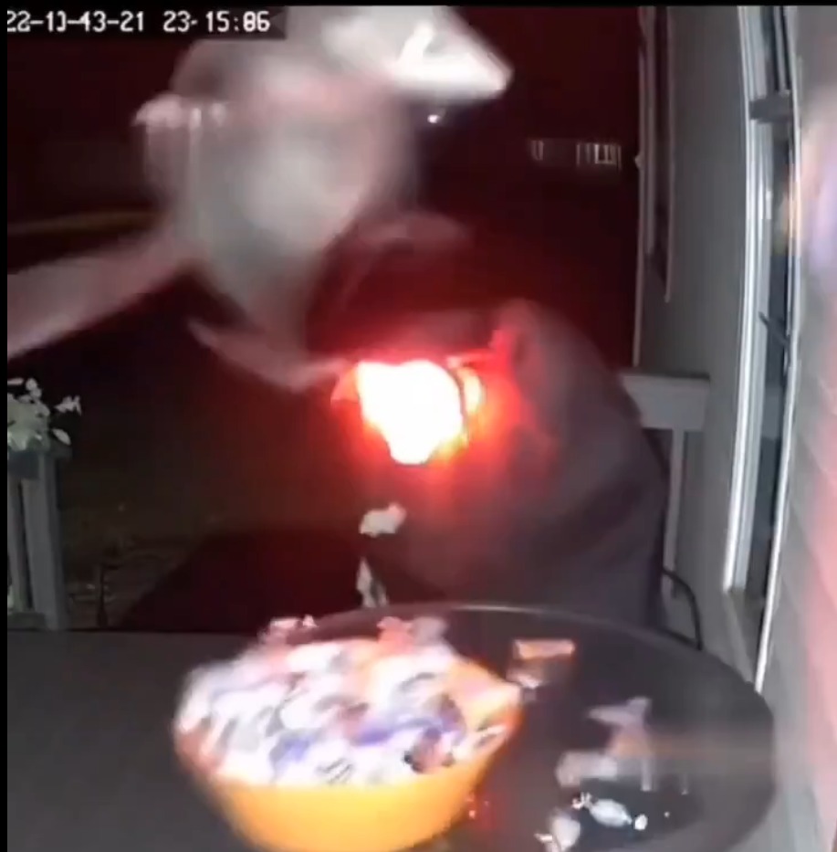 engenheire de dades tweet media