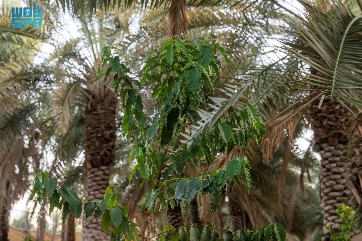 واس الاقتصادي tweet media