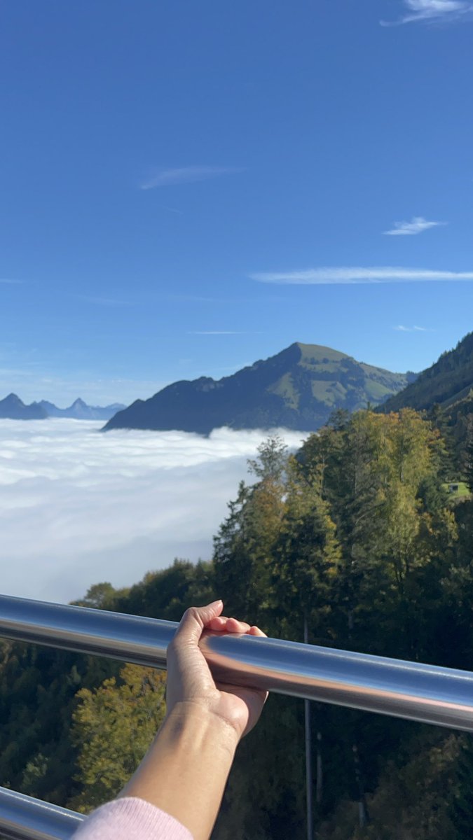 🔝🤍🧸ྀི tweet media