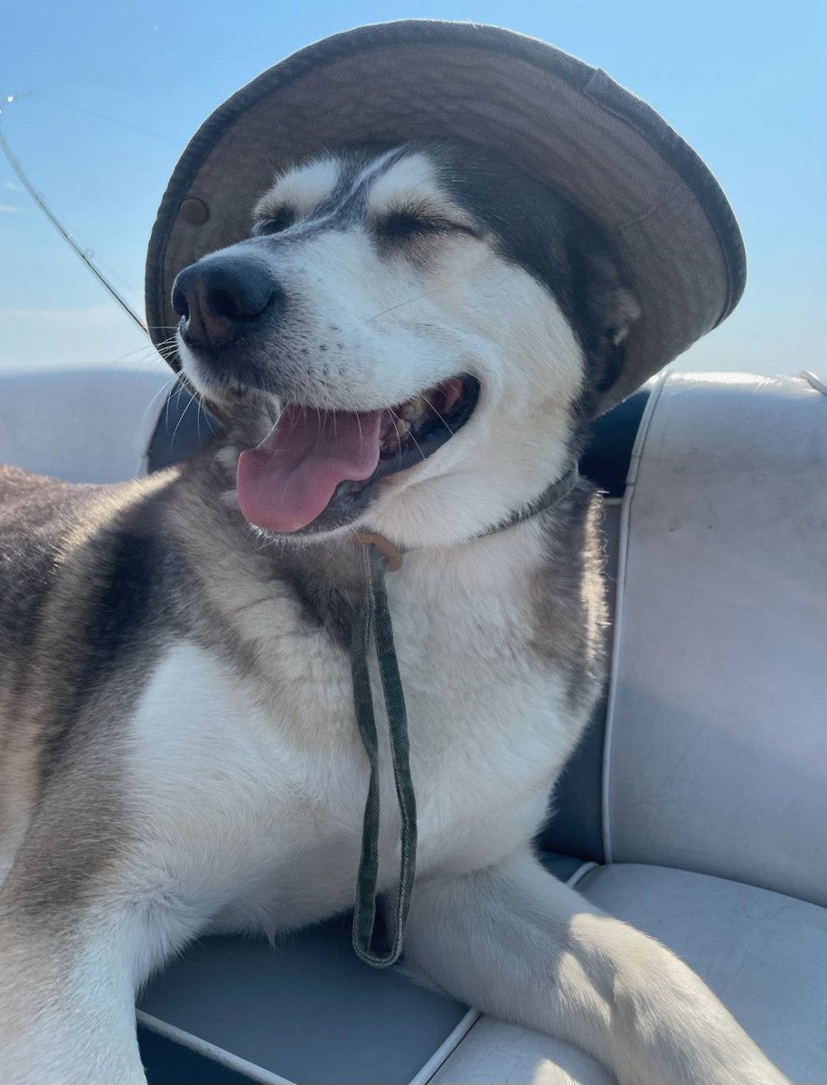 Raw & Unfiltered tweet media