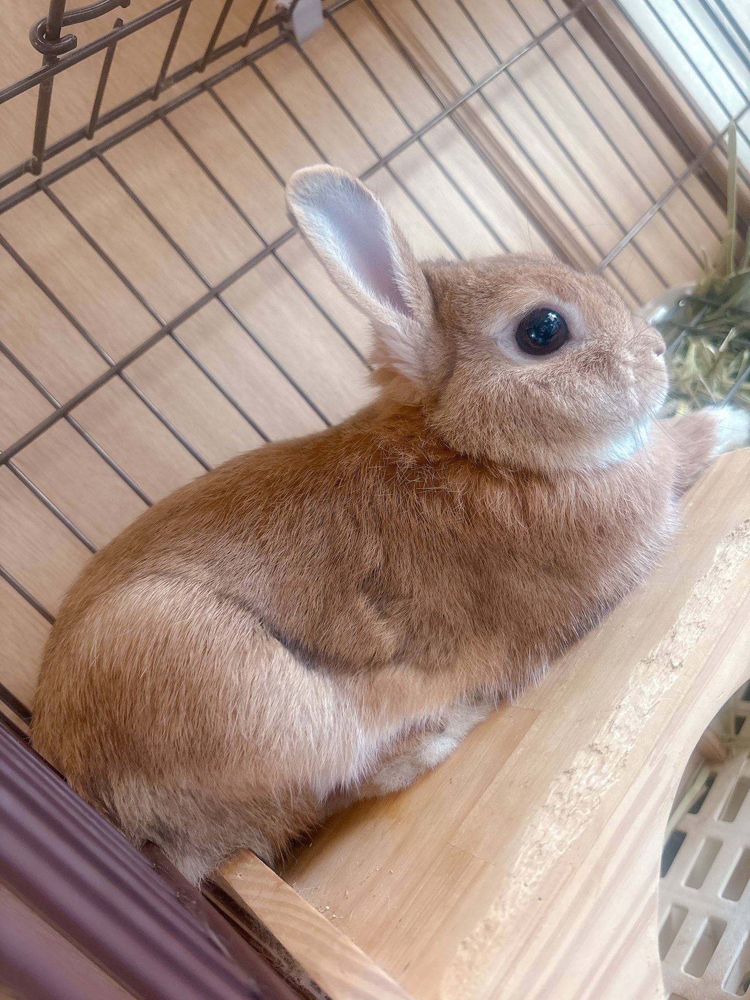 ゆず＆みかん🍊 on X: 