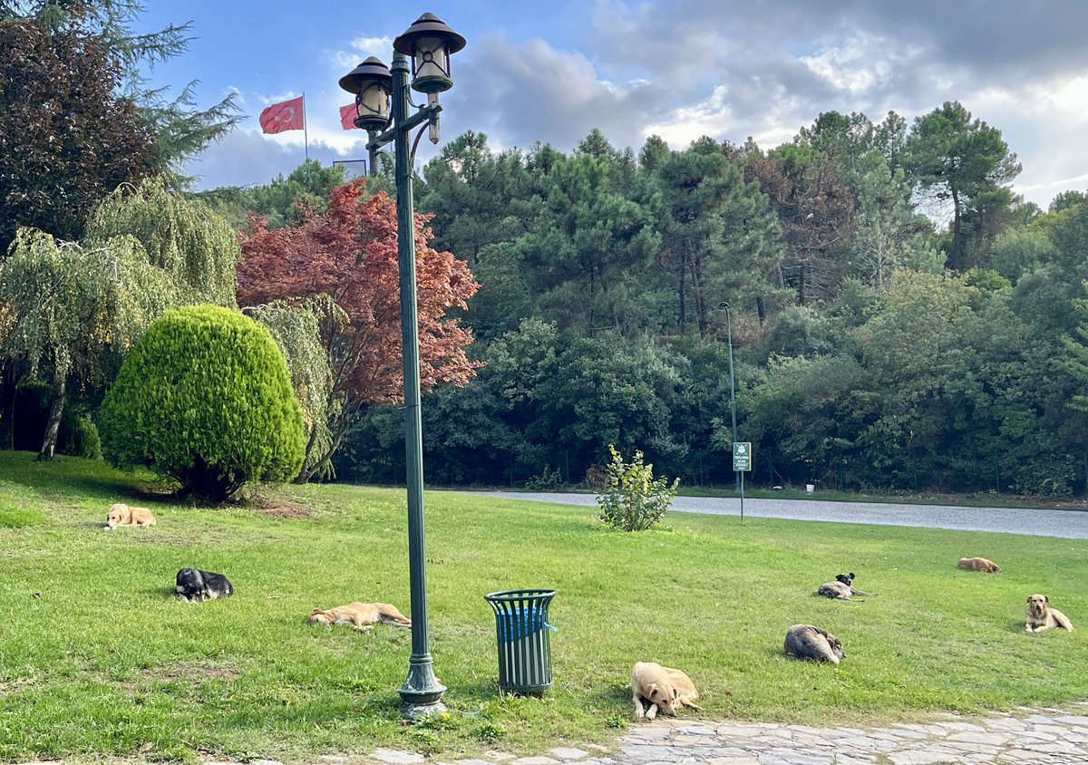 #kampüs gibi kampüs, bizim çocuklar 🥹