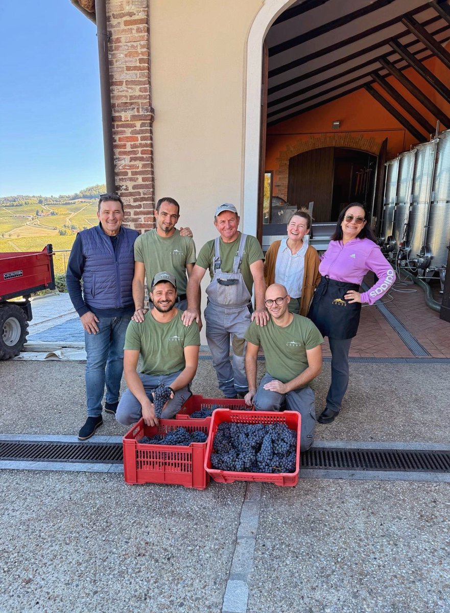 Cogno Wines l Barolo Ravera tweet media