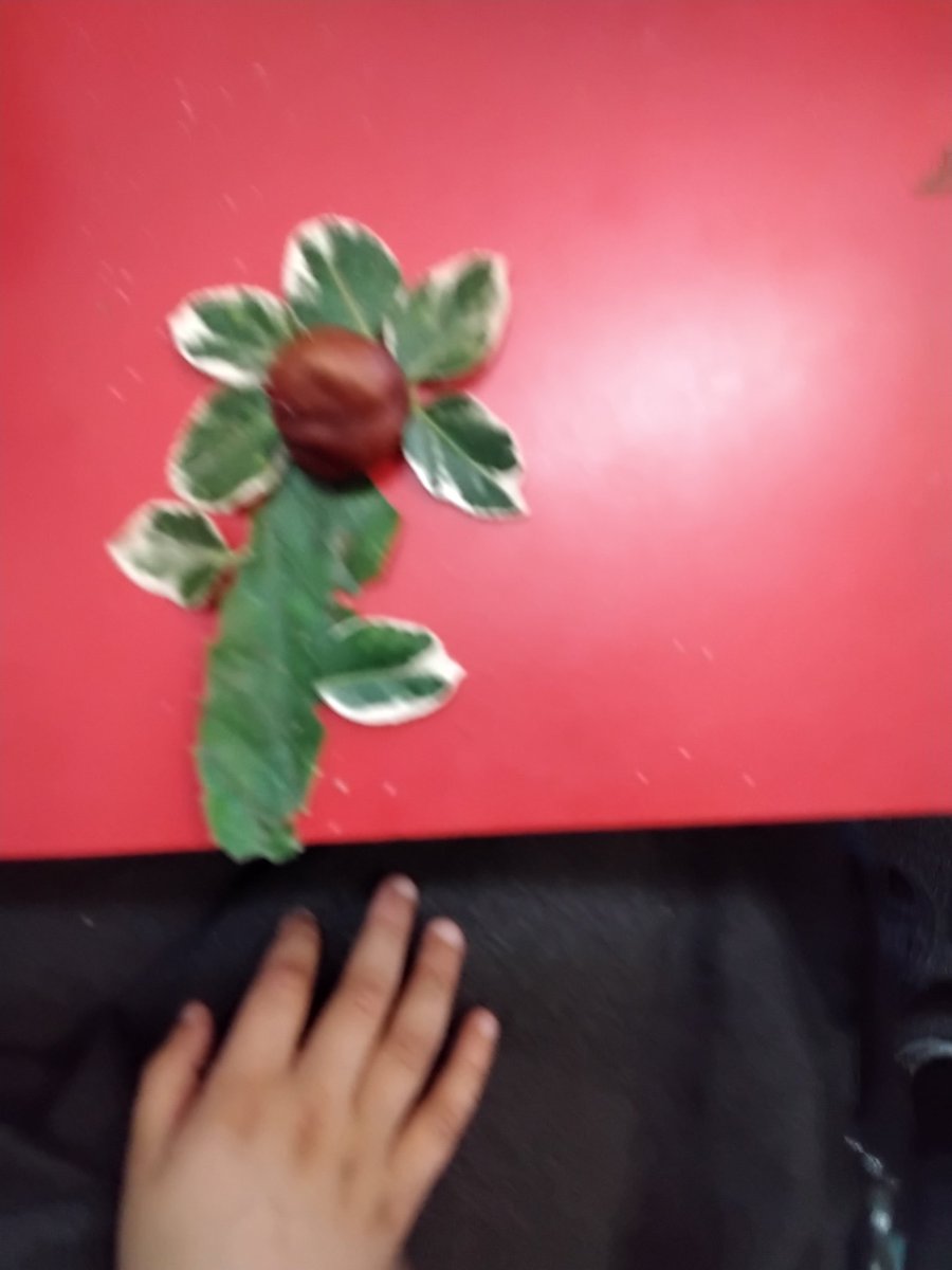 LeighPrimary's tweet image. 1S childrenbecame artists and  had fun creating their own collages in the style of Andy Goldsworthy using natural materials #art #making memories #lifelonglearners