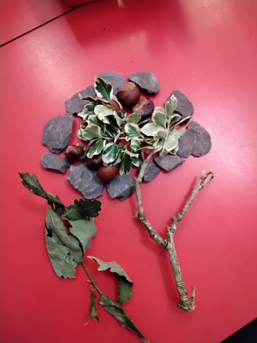 LeighPrimary's tweet image. 1S childrenbecame artists and  had fun creating their own collages in the style of Andy Goldsworthy using natural materials #art #making memories #lifelonglearners