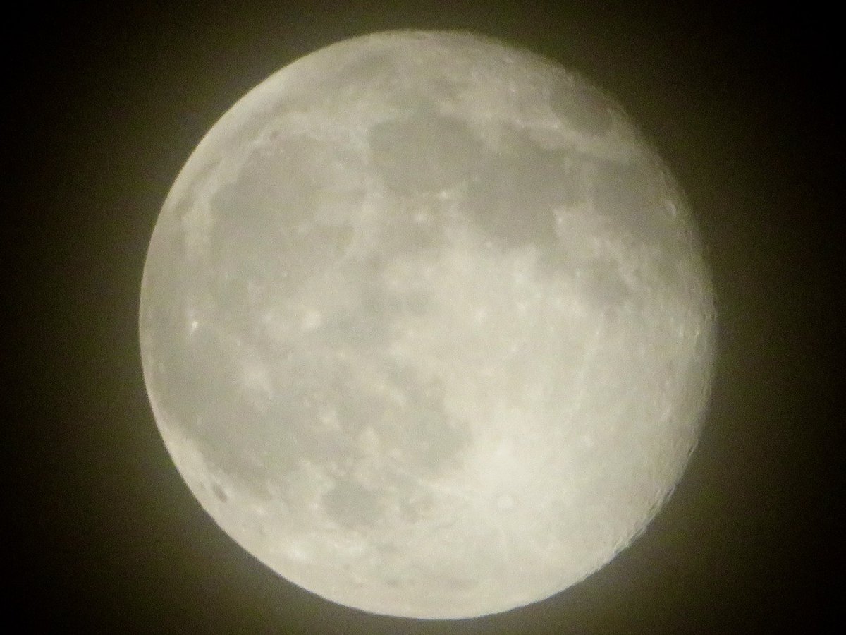 「今宵の月🌕」(ころころ🐼継承)

今回もやっぱり…お久し振りの今宵の月🙏💦
そして美味しい所どり😅のまんまるの満月
昨日が少し地味に輝いております✨
10月の満月はハーベストムーン(収穫月)
夜空を見上げて下さい
中秋の名月が疲れた心を癒してくれます
2025.10.08PM10:15埼玉県某所にて撮影