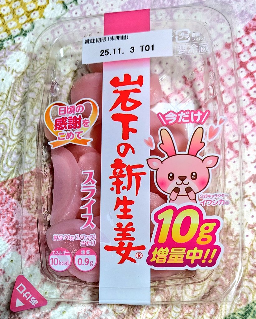 zerotanatos's tweet image. 新たなきぐるみファイトの開催が決定したから!リトルボブドッグとイワシカちゃんに想いを馳せよう……🥹
#リトルボブドッグ
#岩下の新生姜