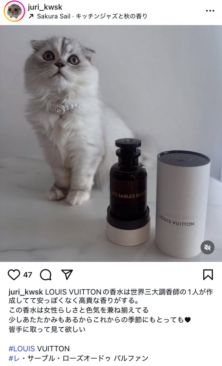 猫いるのにディフューザーと香水って…😨
教えてくれる人が周りにいないの可哀想

ハムスターもsad hamsterっていうネットミームなのにはむはむステッカーって何？
まるで自分の物のように配布する神経凄いですね