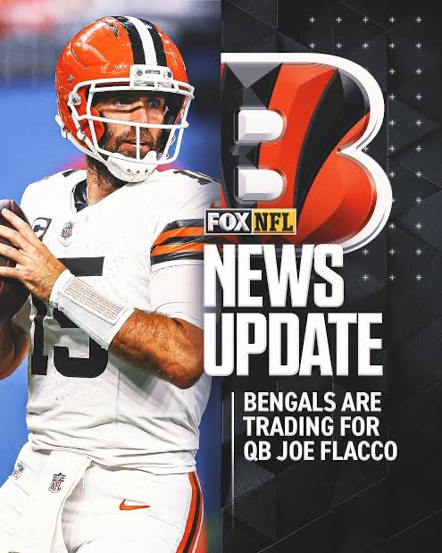 DengieRaven's tweet image. Team Extremely Evergreen!!

Still doing it. Long May it continue…

@JoeFlacco @JEFFHARDYBRAND