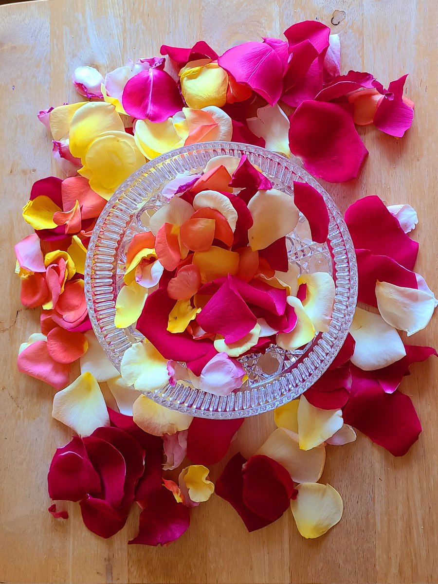 loveforrealstar's tweet photo. soft rose petals
in pretty bowls
once a bouquet
in an elegant vase🌹

scribbled words
on scraps
of paper
 a poem
about love🌹

the rose petals
a reminder of love 🌹

husband grew a rose 🌹 garden for me 🌹

#loveletters💌
#amwriting #myphotos https://t.co/iQ9CyzSC6d