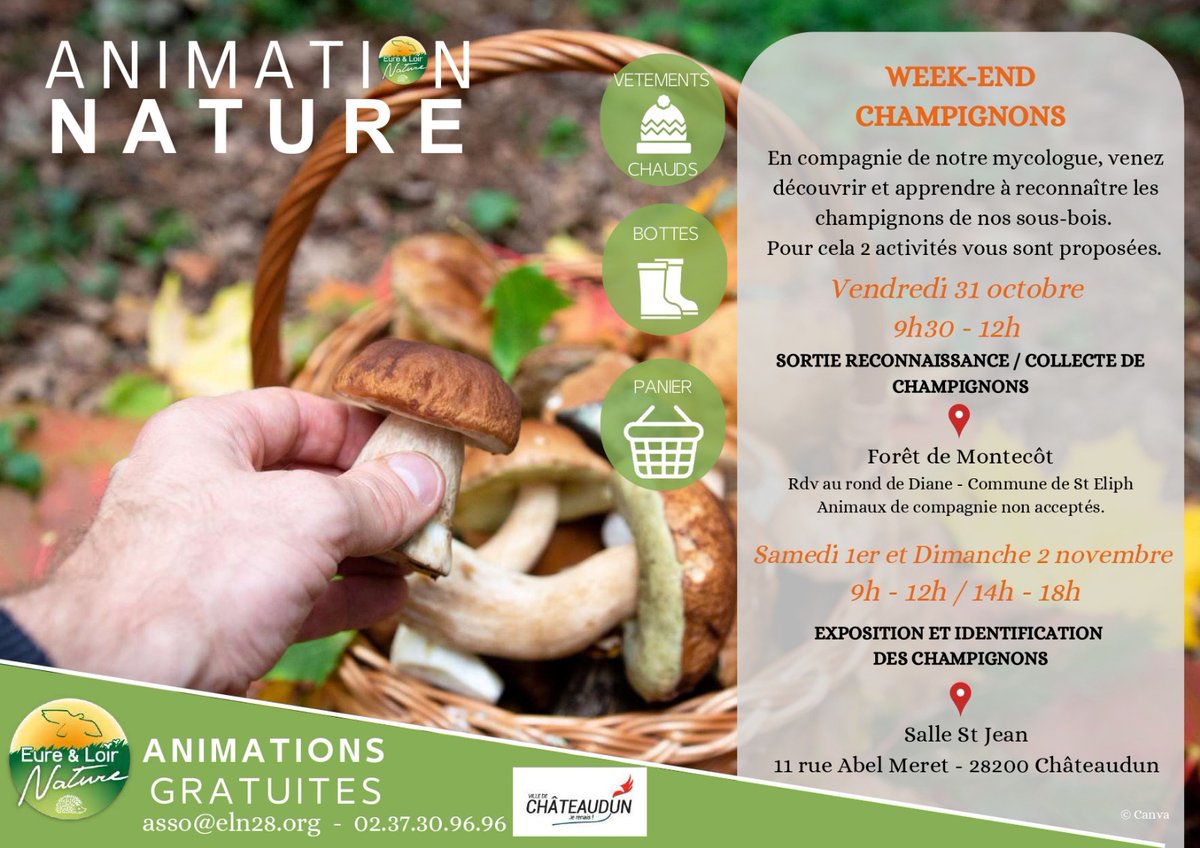 🍄 Week-end Champignons en Eure-et-Loir !

Du vendredi 31 octobre au dimanche 2 novembre 2025, Eure-et-Loir Nature vous invite à un week-end consacré aux champignons.
Deux activités gratuites et ouvertes à tous vous permettront de découvrir, observer et apprendre à reconnaître