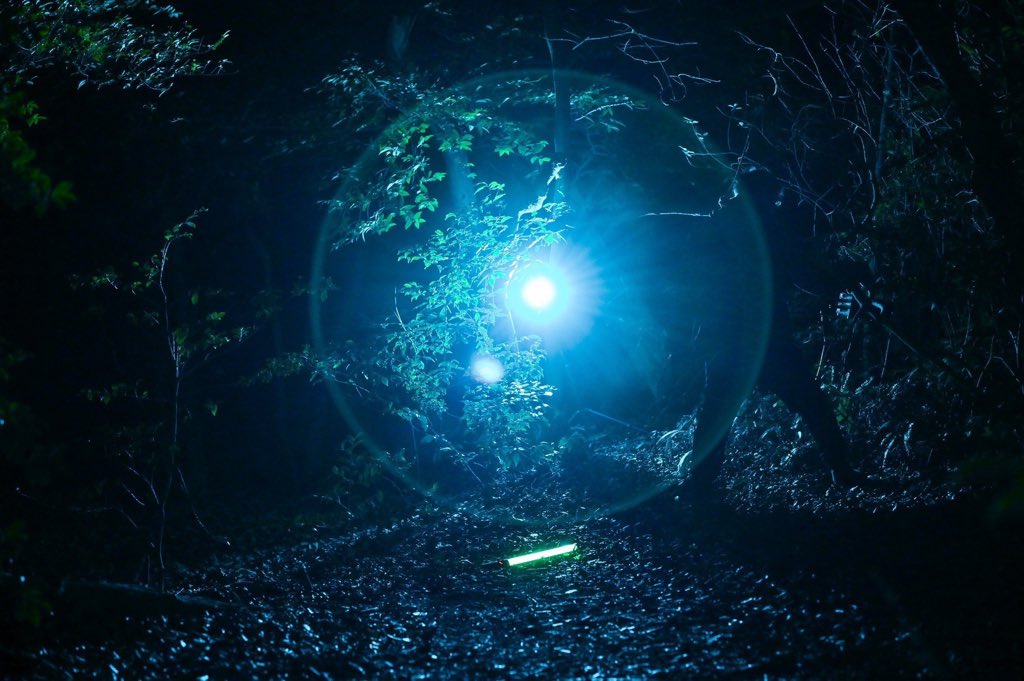 京都下鴨茶論🦆 tweet media