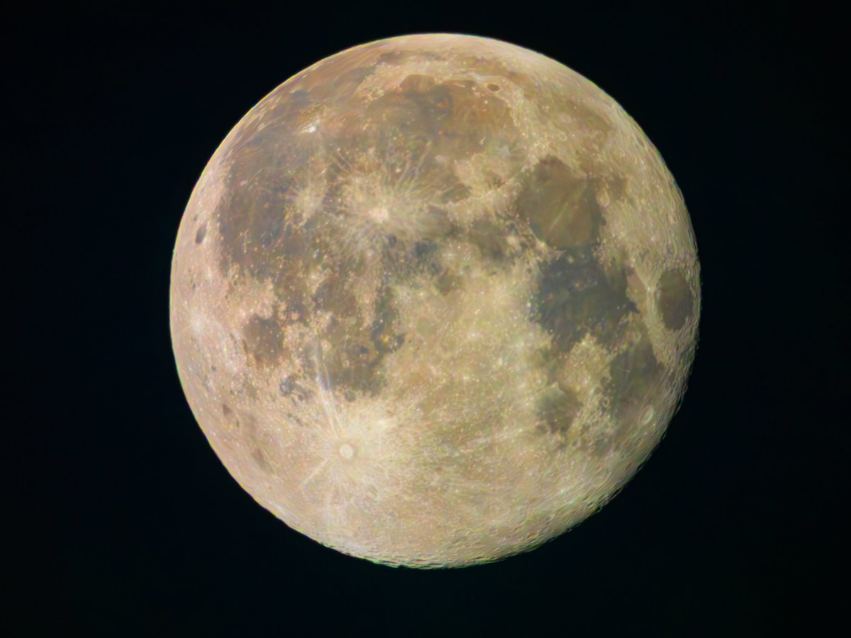 Ray Browell Photography tweet media