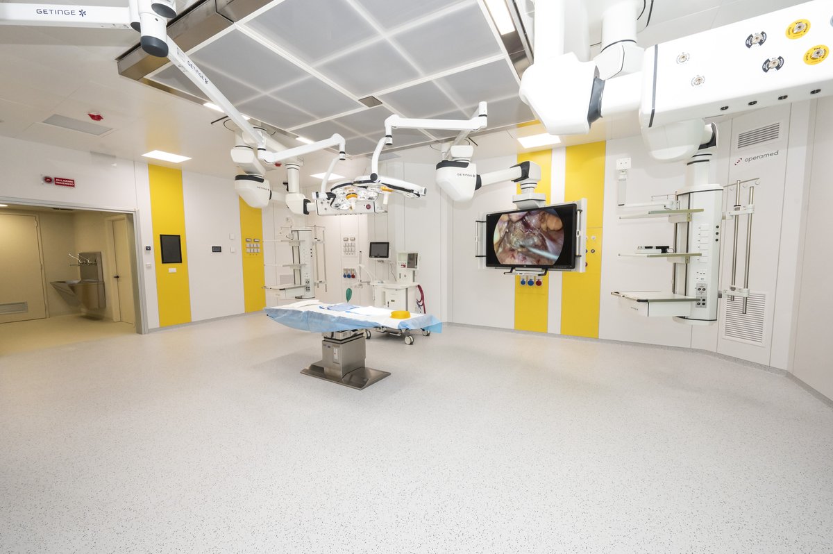 Università di Padova tweet media