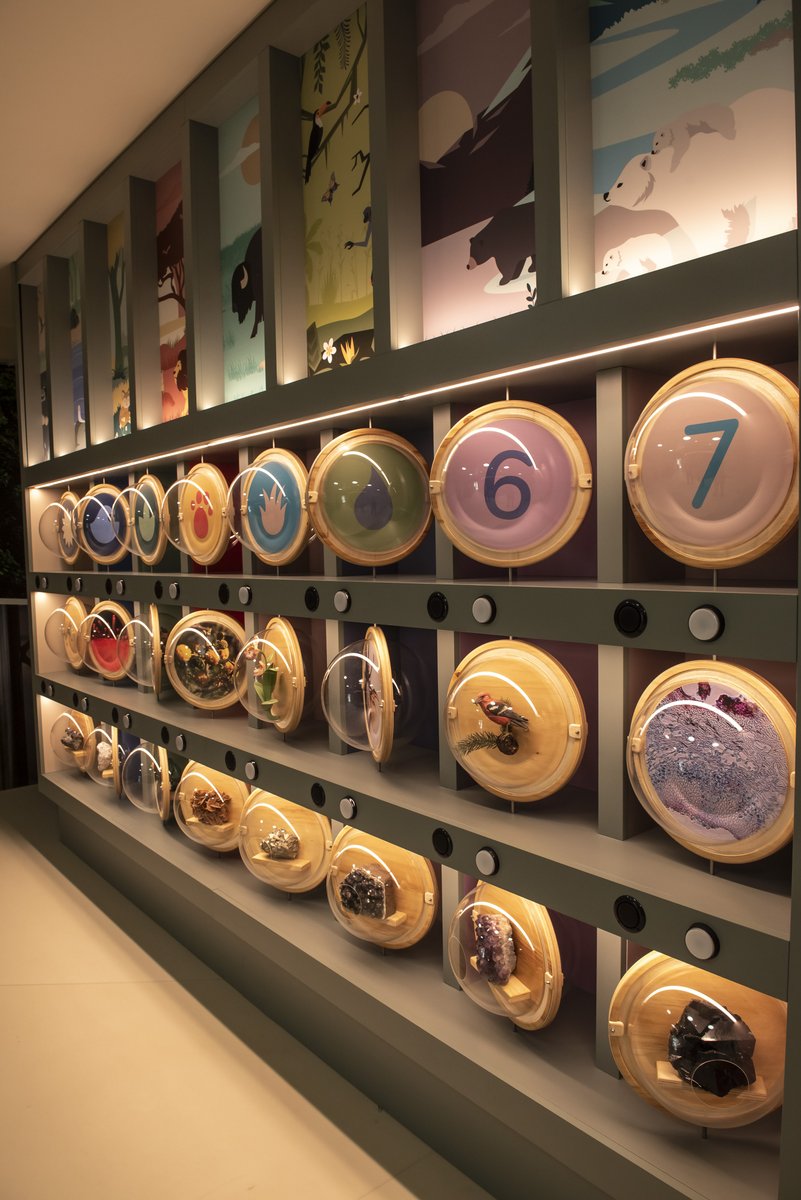 Università di Padova tweet media