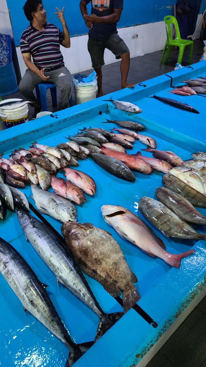 A tour at Male Fish Market today, and I'm sure it's going to be my wife's favorite place. 
Some local friends told me the yellow ones are called Banana Fish. Any tips on how to cook it?