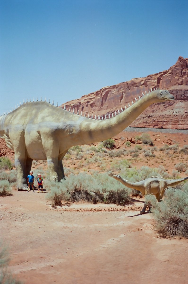 During the heat of the day, we found refuge in shade and at small oases throughout the high desert of Utah. We gawked at natural wonders and kitschy roadside attractions. Picture here: Bryce Canyon, dinos at Moab Giants, the 5000-yr-old Bristlecone Pine of Great Basin, and the