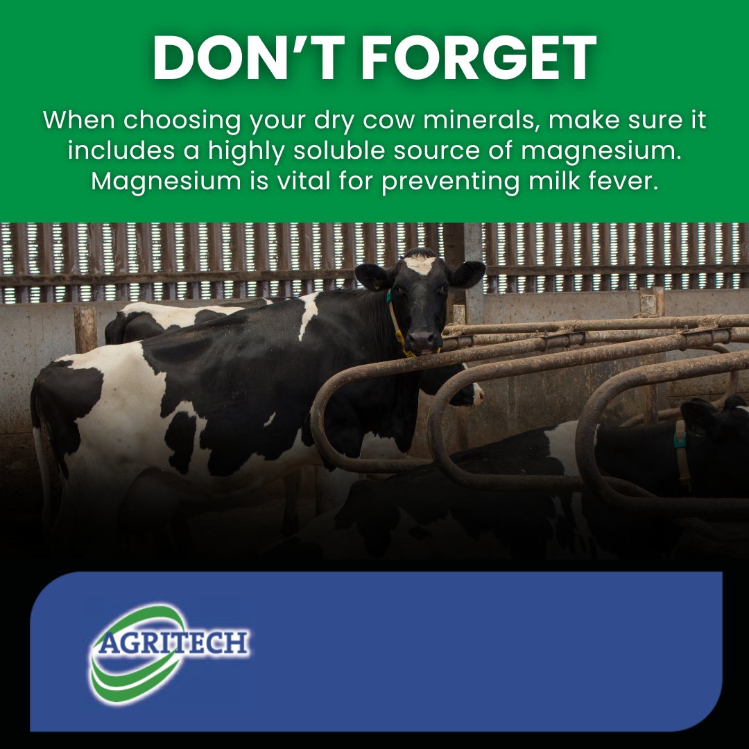 When choosing your dry cow minerals this winter, make sure it includes a highly soluble source of magnesium.⚠️

Research has shown that a single case of milk fever is estimated to cost around €312 with subclinical cases estimating around &gt;€100.🔎

#MilkFever #DryCowMinerals