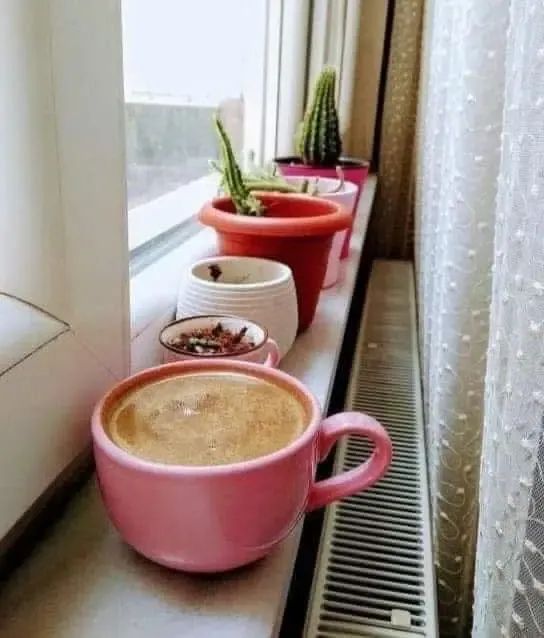 🕊️💜 tweet media