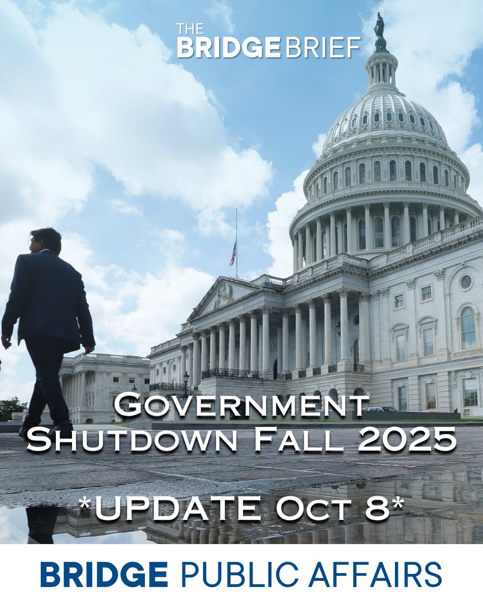 Bridge Public Affairs tweet media