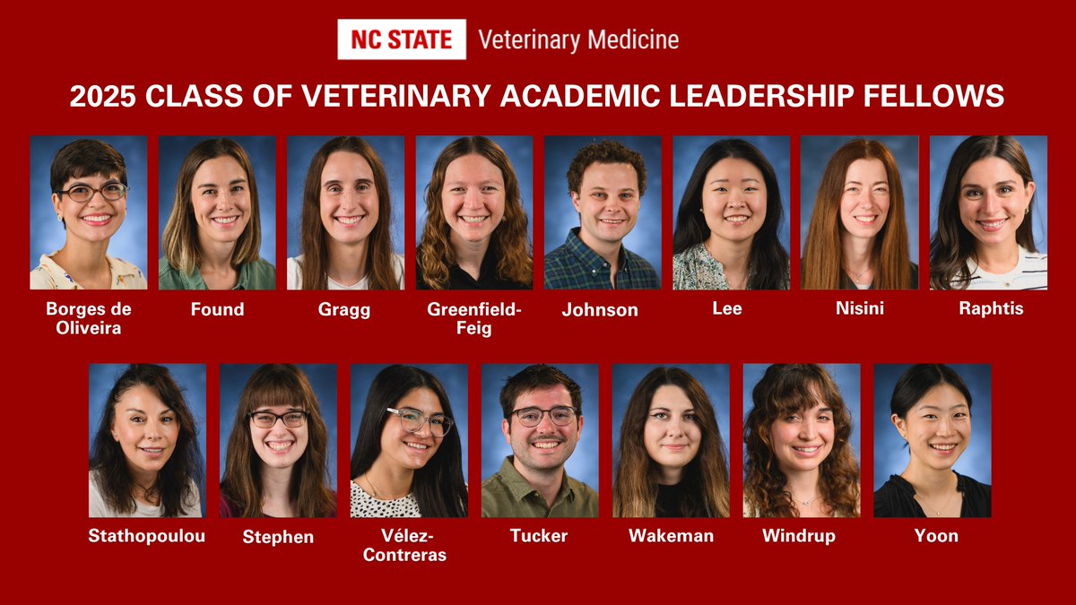 Veterinary colleges  face an increasing shortage of educators needed to train DVMs and advance critical research. NC State stepped up. Our Veterinary Academic Leaders Program welcomed 15 new residents, bringing the total number of fellows to nearly 40! 👏 
ncst.at/h6Z250X8u5P