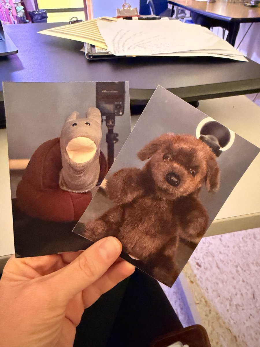 Laura Packert tweet media