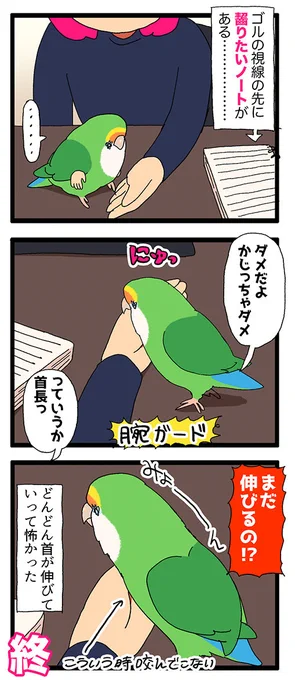 ゴルちゃんの首がどんどん伸びていって焦りました🦕

2190 #えるポピの絵日記かくところ 