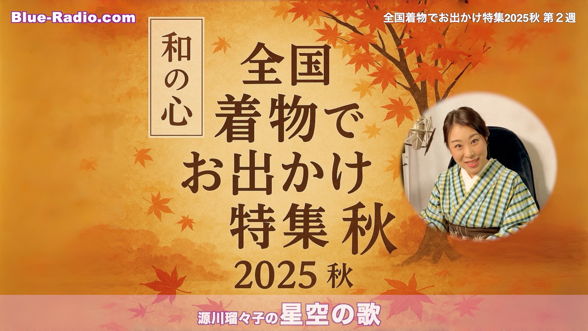 Blu-ray 秋菊の物語('92中国/香港) 【公式通販】