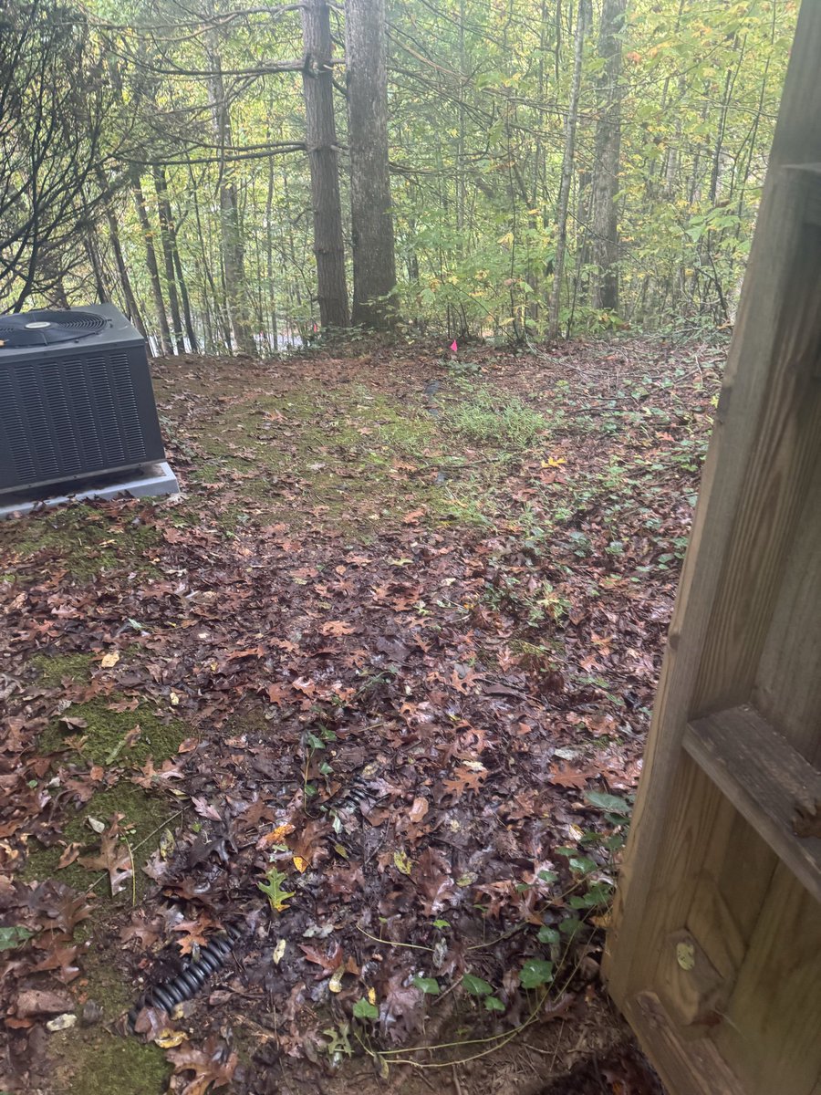 HeavenSC 🐒 tweet media