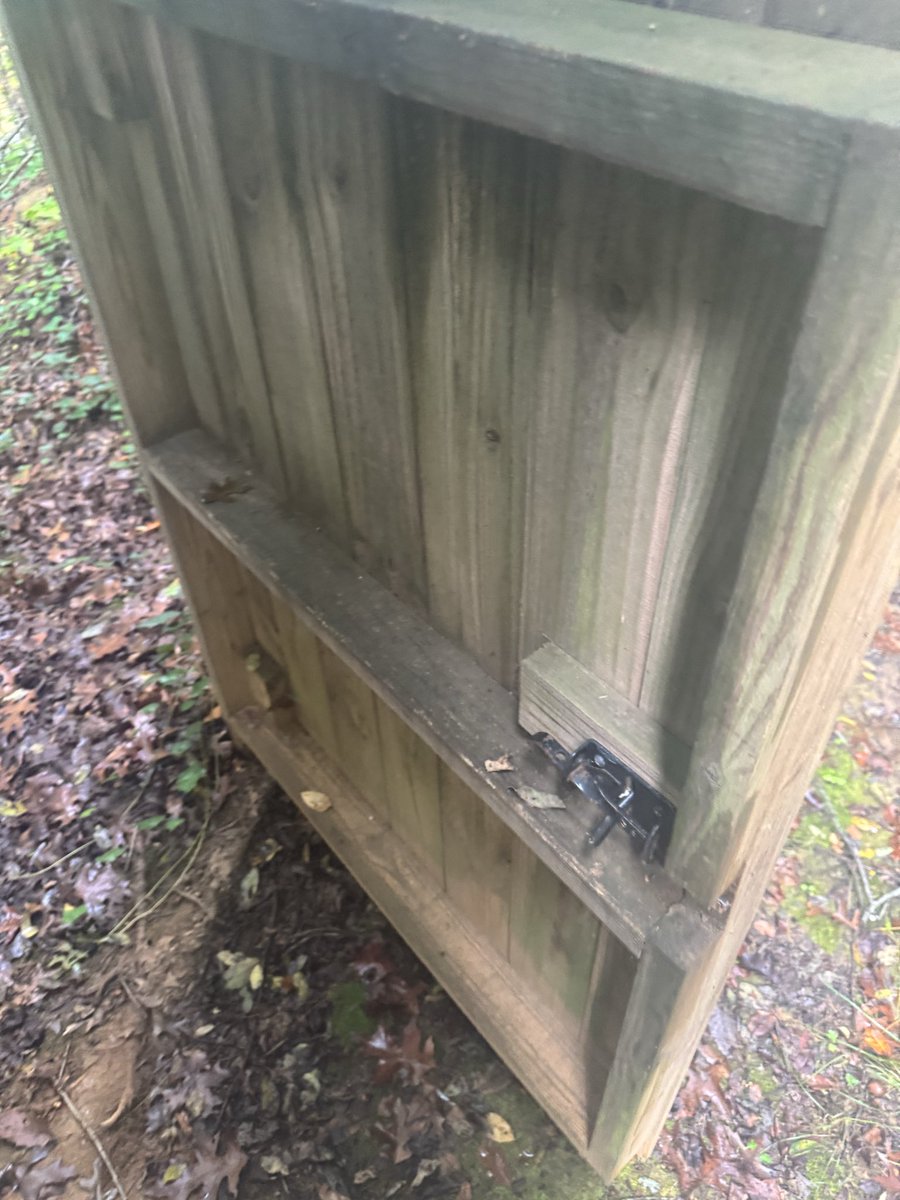 HeavenSC 🐒 tweet media