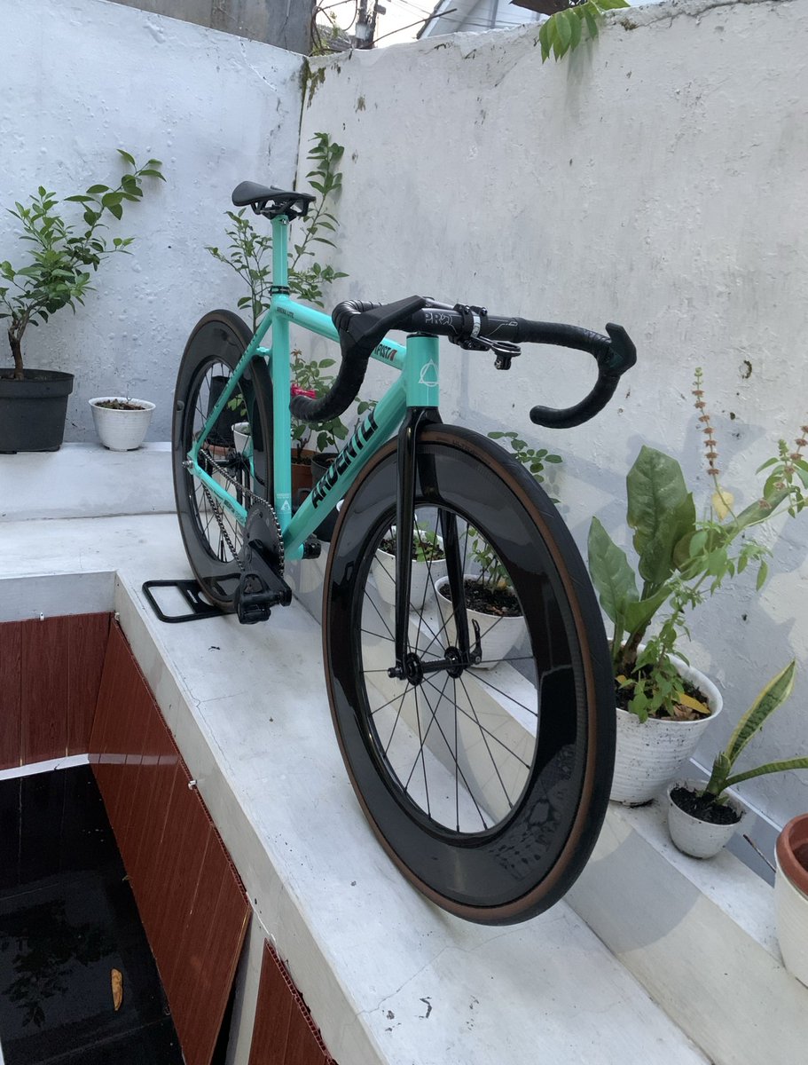 cat personal assistant tweet media