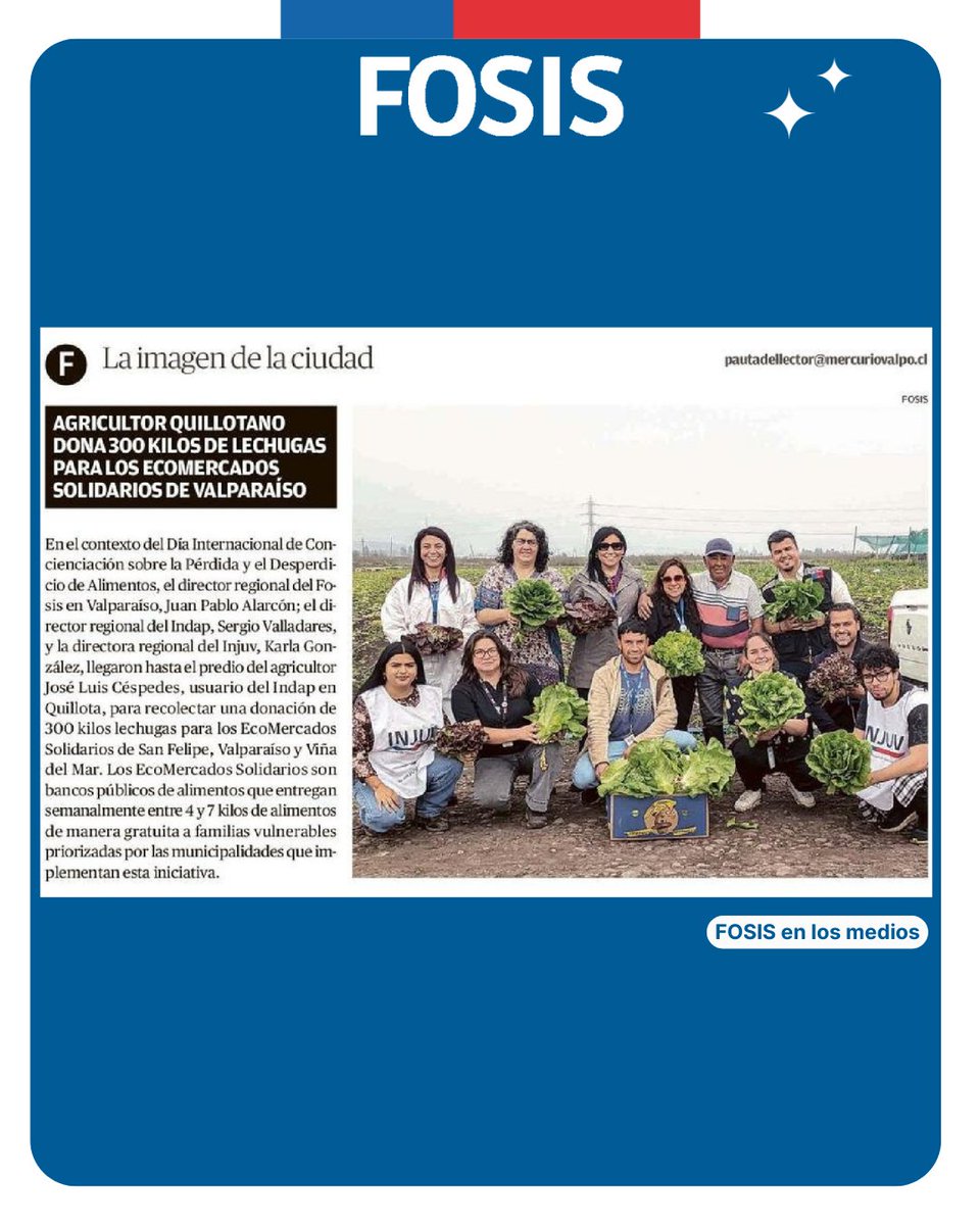 Las hortalizas fueron cosechadas por jovenes del voluntariado del <a href="/InjuvChile/">INJUV Chile</a>, para entregarlas a las familias usuarias de los EcoMercados Solidarios de la Región de Valparaíso.