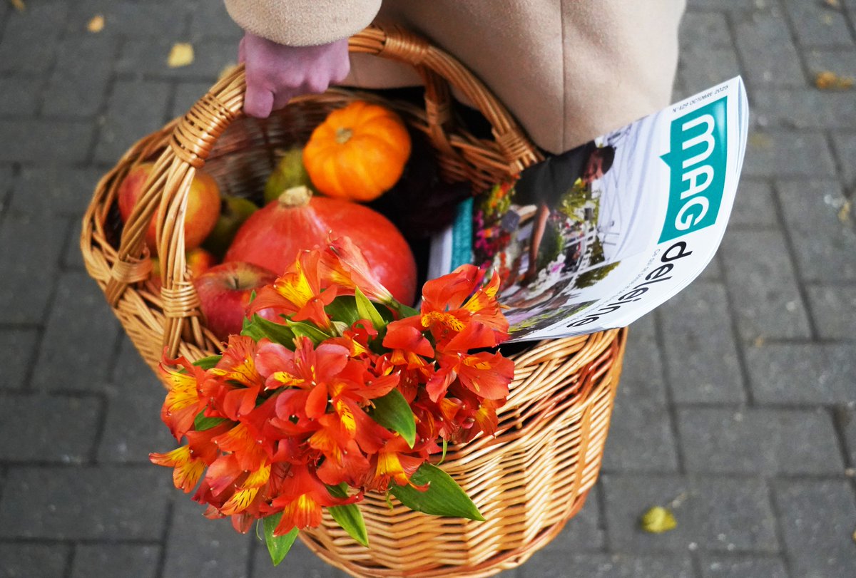 Le #MAGdeleine du mois d'octobre est en cours de distribution 📬🍁
Au sommaire :
🛍️ Dossier du mois : les commerçants madeleinois
🌳 Inauguration du square Dominique Bernard
🎉 Week-end solidaire au profit du Téléthon
🎃🏃‍♀️ Les foulées d'Halloween
...et plein d'autres sujets !