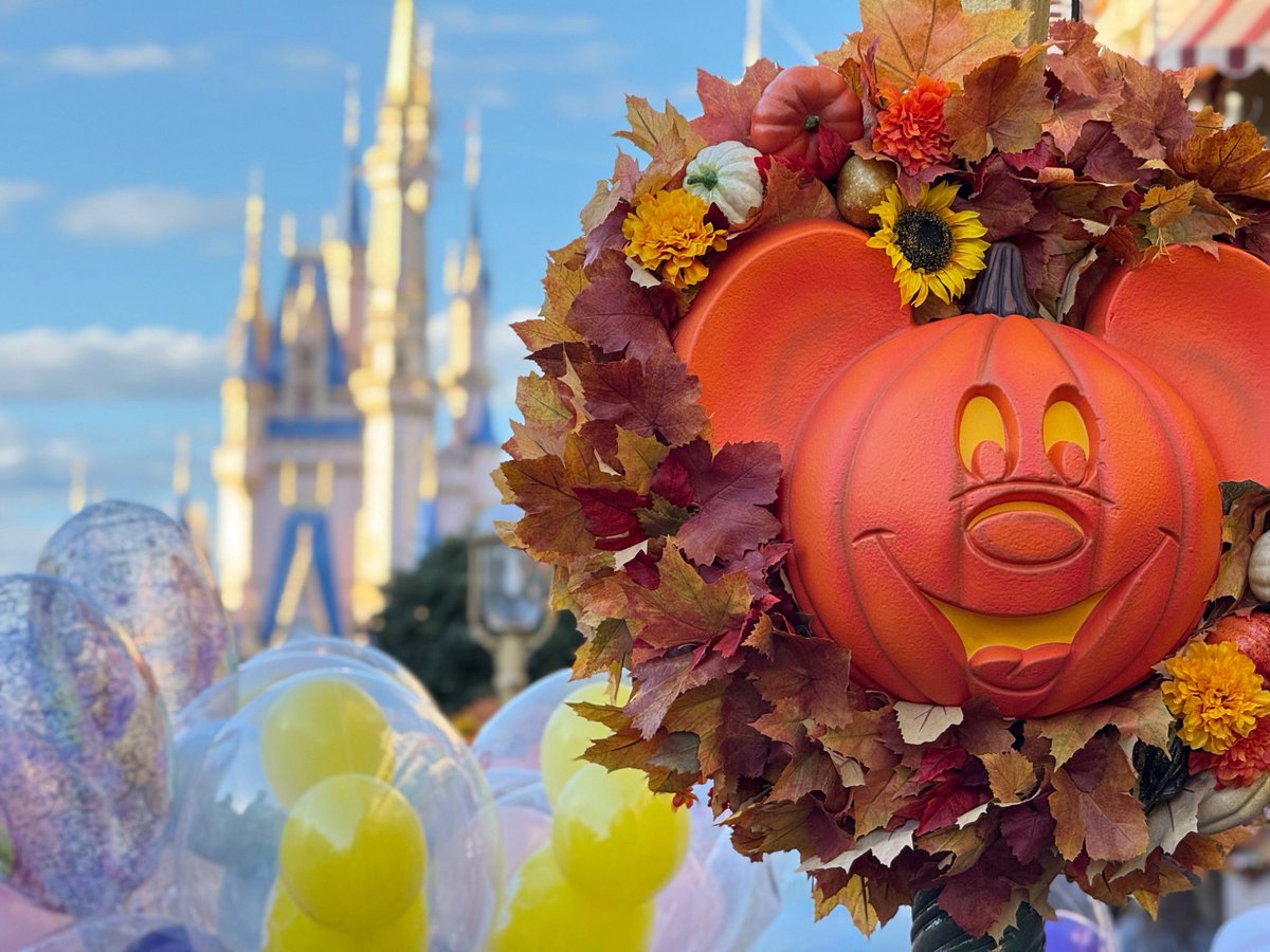 DaveStDenn45649's tweet photo. I used the Rule of Thirds to position the Mickey pumpkin along the right third of the frame, creating balance while still highlighting Cinderella Castle in the background. The soft blur adds depth and guides your eyes through the image.
#su2412 #ruleofthirds  #disneymagic https://t.co/o5WxAPYWIp
