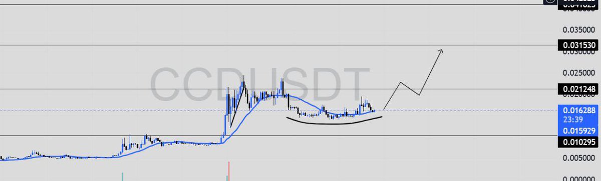 What happens when real institutional money meets real utility? 👀

NASDAQ-listed Hilbert Group, a regulated investment firm, just made $CCD their first-ever altcoin investment. Not a random buy or VC deal, they’ve been accumulating $CCD. Following their path and adding some $CCD.
