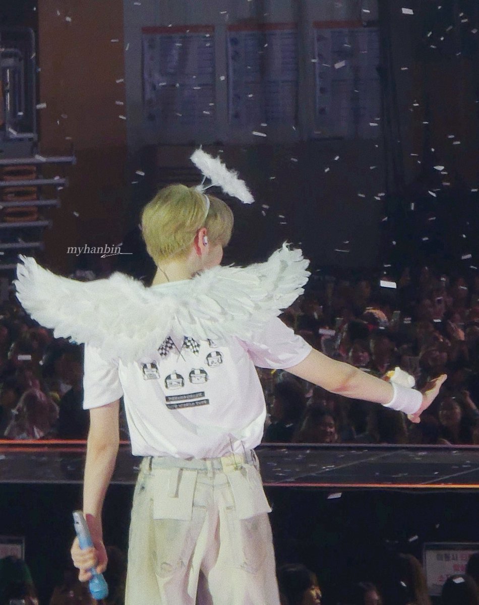 花道だけを歩こうね🪽 ⋆⭒˚｡⋆