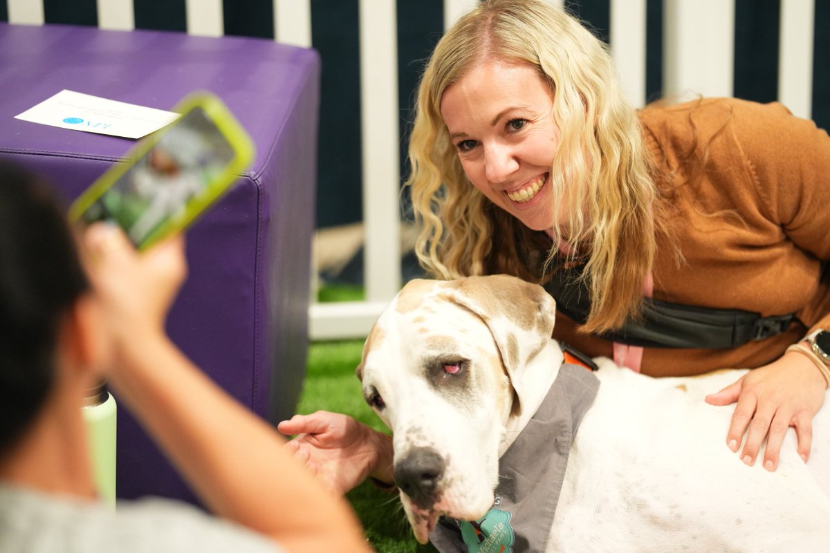 cvent's tweet image. Someone asked how #IMEX25 is going…

So we showed them these pictures.
🐾Puppy breaks
🗣️Booth chats
🎙️Smart Monday sessions

No words needed — the photos say it all. 🤩

#Marketing #EventTech #Hospitality #EventProfs