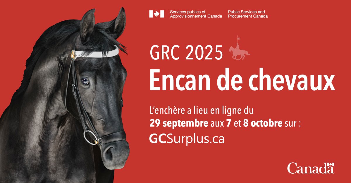 GCSurplus (@gcsurplus_spac) on Twitter photo 🐎Allez, hue! Les enchères pour les 6 derniers chevaux du programme d'élevage du #Carrousel de la <a href="/grcrcmppolice/">GRC</a> se terminent aujourd'hui, à intervalles de 20 minutes entre 11 h et 12 h 40. 🚨 C’est votre dernière chance! Faites une offre sur #GCSurplus ➡️ gcsurplus.ca/mn-fra.cfm?snc… 🐎Allez, hue! Les enchères pour les 6 derniers chevaux du programme d'élevage du #Carrousel de la <a href="/grcrcmppolice/">GRC</a> se terminent aujourd'hui, à intervalles de 20 minutes entre 11 h et 12 h 40. 🚨 C’est votre dernière chance! Faites une offre sur #GCSurplus ➡️ gcsurplus.ca/mn-fra.cfm?snc…