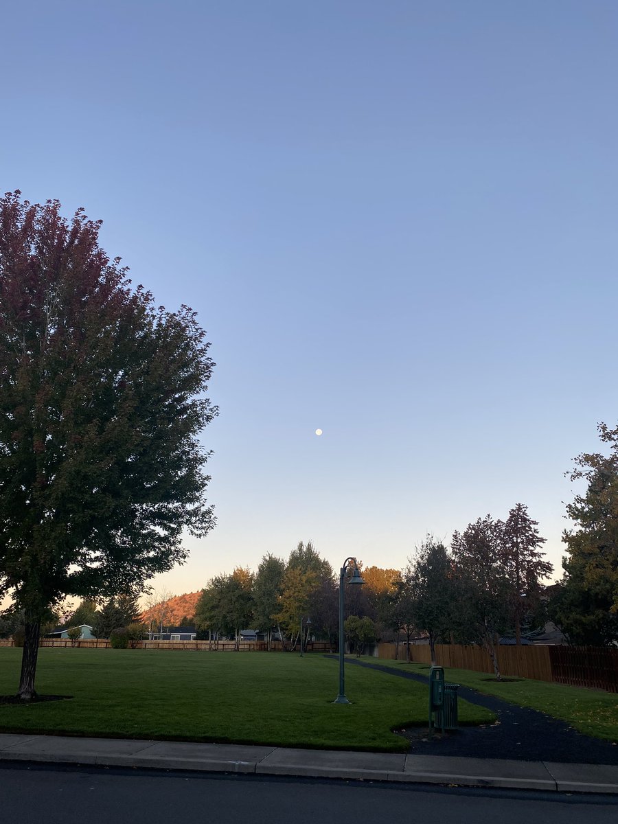 Moon looks like yin and yang this morning☯️