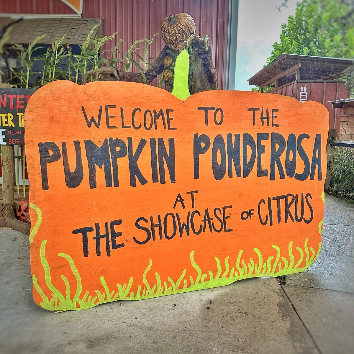 TuckBeck's tweet photo. If you’re looking for a cute little free thing to do? Then Pumpkin Ponderosa is just for you! Happening 7 days a week, at The Showcase of Citrus. 🎃
.
#HalloweenBlogger #PumpkinPonderosa #TheShowcaseofCitrus #OrlandoFlorida #PumpkinPatch #ShowcaseofCitrus 🍊 https://t.co/abB5Lvxbr2