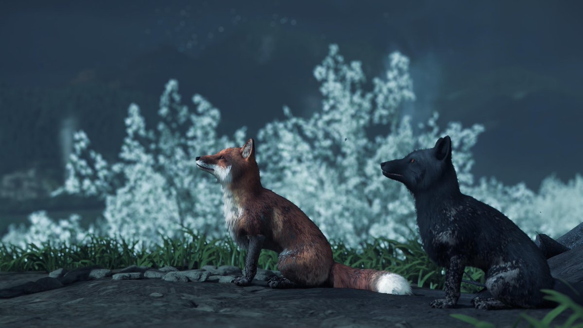 tulippooh3's tweet image. #GhostofYotei
#PSshare #PSBlog